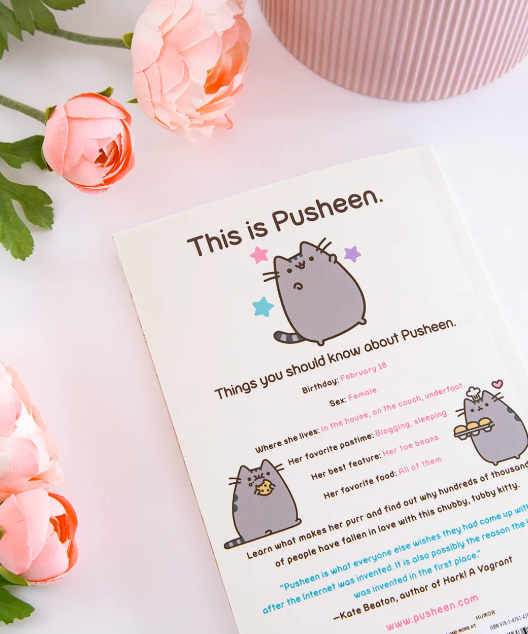 i_am_pusheen_the_cat_paperback_2.webp Pusheen I Am the Cat Paperback