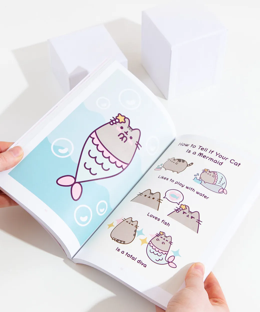 Pusheen The Many Lives of the Cat